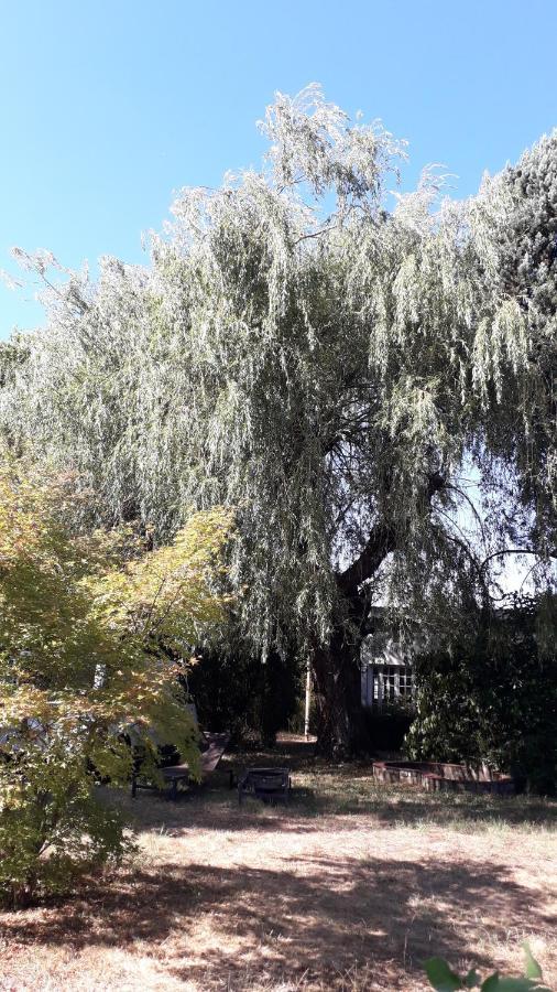 L' Abri Du Saule Vila Aussillon Exterior foto